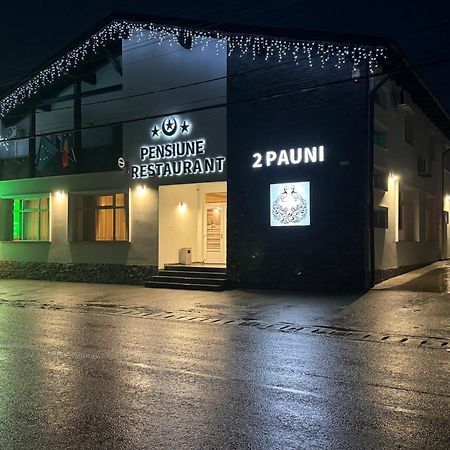 Pensiune Restaurant Pizzerie 2 Pauni Borşa Exteriér fotografie
